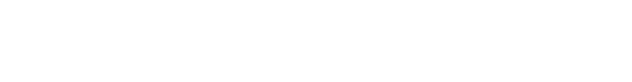 Vivasoft